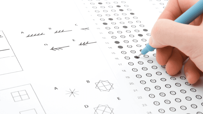 Online IQ test for hiring and career assessment