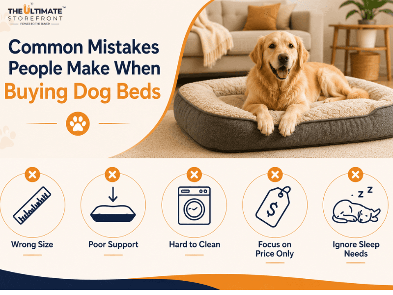 Dog Beds Online