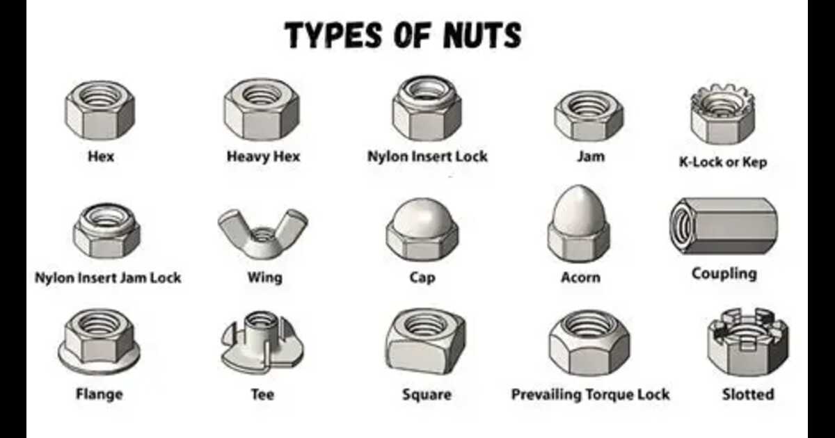 Types of Nuts