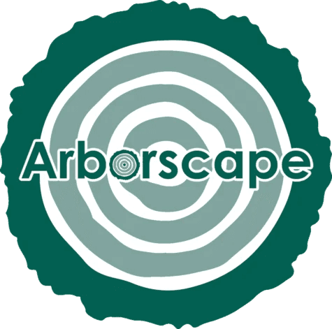 Site Clearance Services in Cumbria